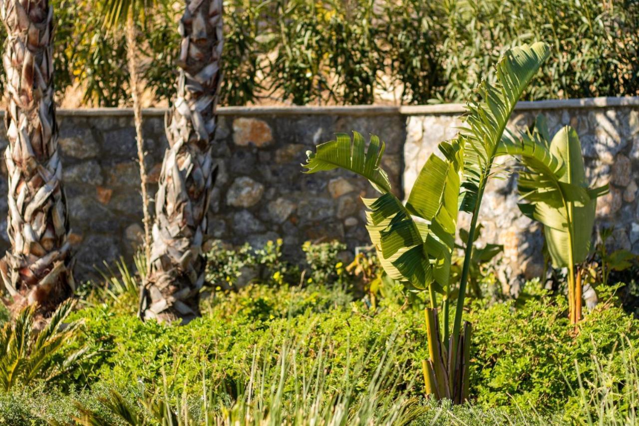 Istia Luxury Villas Kárpathos Eksteriør bilde